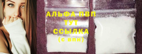 стаф Арсеньев