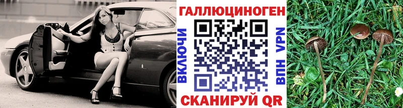 Галлюциногенные грибы MAGIC MUSHROOMS  Зубцов 